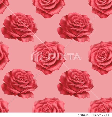 Seamless pattern of red roses in realistic style in watercolor technique as a symbol of love,passion,desire.Hand drawn illustration for decoration of cards for Valentines Day,March 8,Mothers Day 137237744