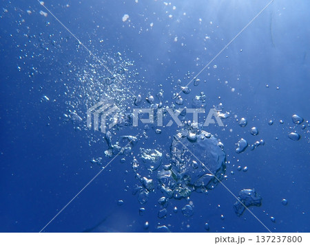 水中で見上げる 137237800