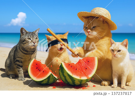ビーチでスイカ割りをしている猫 137237817