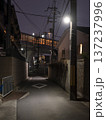 街灯に照らされた住宅街の路地 137237996