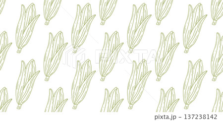 Green corn cobs seamless pattern in doodle sketch style 137238142