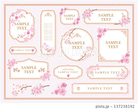 フレーム飾り枠　桜の花 137238192