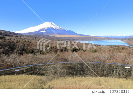 山中湖明神山パノラマ台から望む、冠雪した富士山 137238335