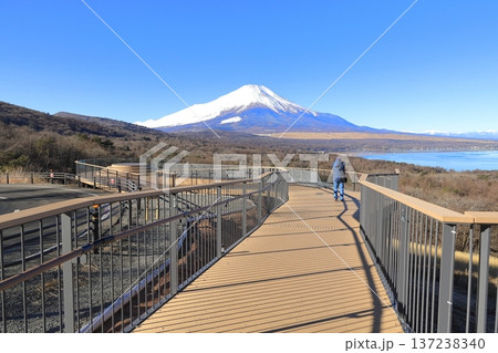 山中湖明神山パノラマ台から望む、冠雪した富士山 山中湖明神山パノラマ台から望む、冠雪した富士山 137238340