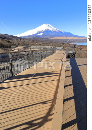 山中湖明神山パノラマ台から望む、冠雪した富士山 山中湖明神山パノラマ台から望む、冠雪した富士山 137238342