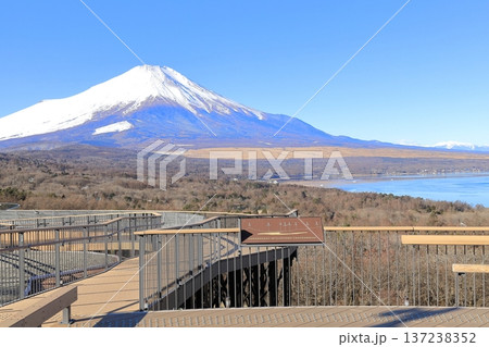 山中湖明神山パノラマ台から望む、冠雪した富士山 山中湖明神山パノラマ台から望む、冠雪した富士山 137238352
