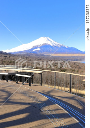 山中湖明神山パノラマ台から望む、冠雪した富士山 山中湖明神山パノラマ台から望む、冠雪した富士山 137238371