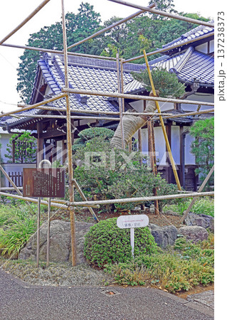 源正寺（武蔵野） 137238373