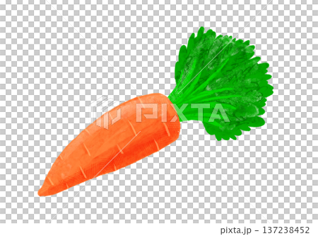 Watercolor carrot food illustration single material pet food Watercolor carrot food illustration single material pet food 137238452