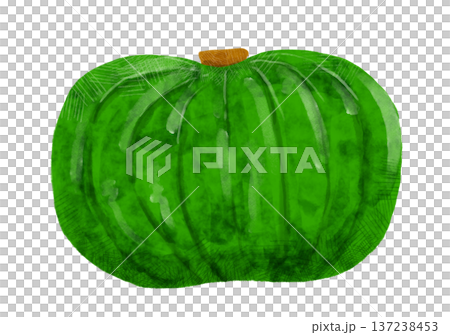 Watercolor pumpkin food illustration single material pet food Watercolor pumpkin food illustration single material pet food 137238453