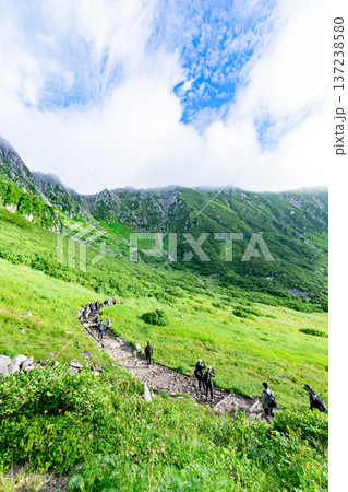 千畳敷カールの登山道と絶景 千畳敷カールの登山道と絶景 137238580