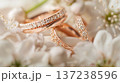 pair of rose gold wedding rings with diamonds, resting on delicate white flowers and soft fabric, captured in close-up photography, exuding an elegant atmosphere 137238596