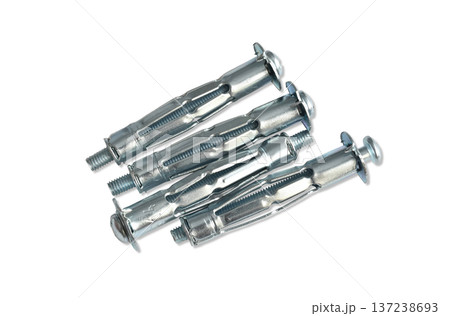 Metal construction dowels called molly. Metal construction dowels called molly. 137238693