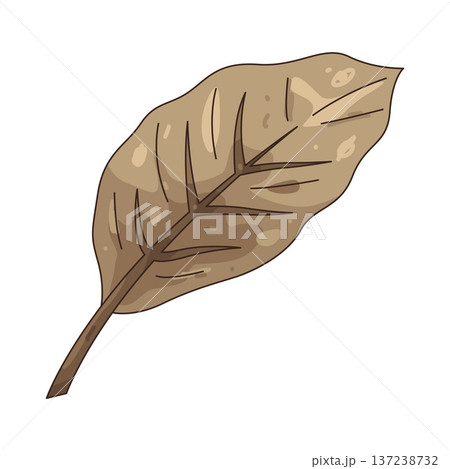 Illustration of dry leaf 137238732
