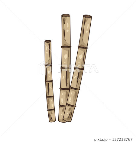 Illustration of wooden bamboo 137238767