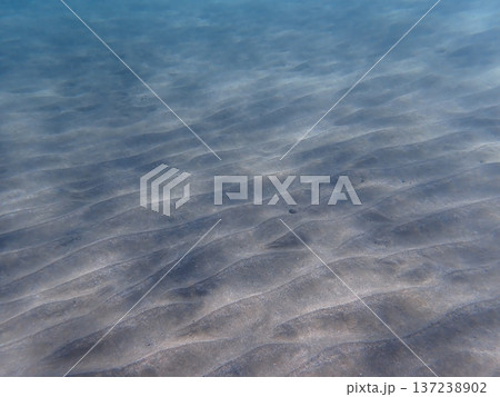 水中風景 水中風景 137238902