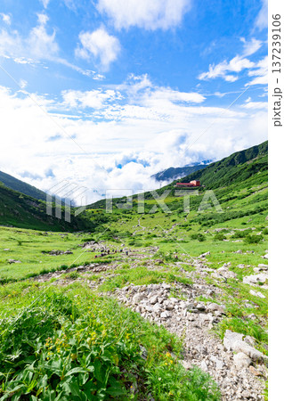 千畳敷カールの絶景　登山道から見下ろす眺望 137239106
