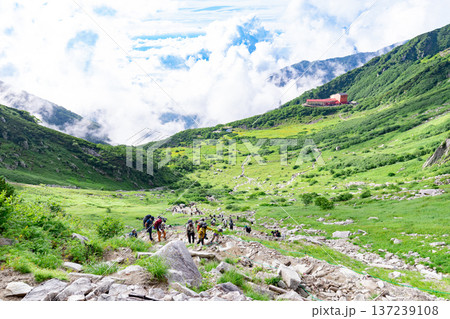 千畳敷カールの絶景　登山道から見下ろす眺望 137239108