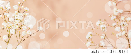 Delicate White Flowers With Warm Bokeh On Soft Beige Background 137239173