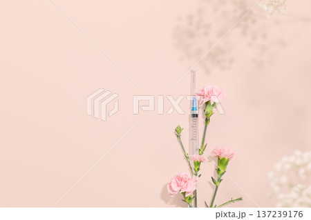 Medical Syringe With Pink Carnations On Soft Pastel Background with Copy Space 137239176