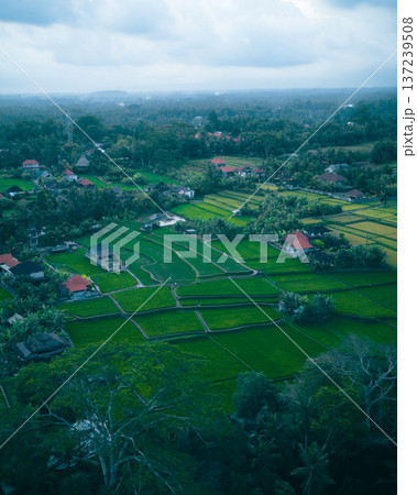 Village Farming Landscape. Rural Fields With Homes. Agricultural Area Featuring Houses And Irrigation Village Farming Landscape. Rural Fields With Homes. Agricultural Area Featuring Houses And Irrigation 137239508