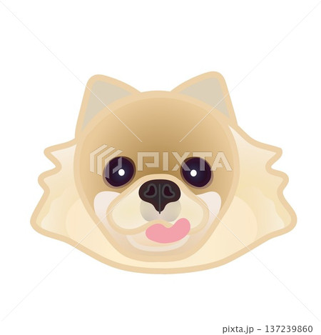 ポメラニアンの顔イラスト ポメラニアンの顔イラスト 137239860