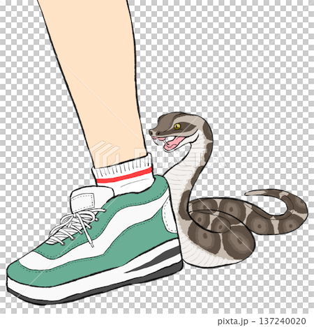 Illustration of a foot about to be bitten by a viper 137240020