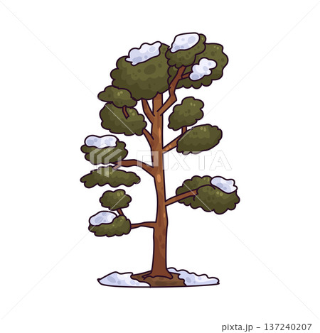 Illustration of Tree with Snow Illustration of Tree with Snow 137240207
