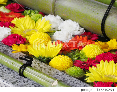 富岡八幡宮の花手水・江東区 137240254