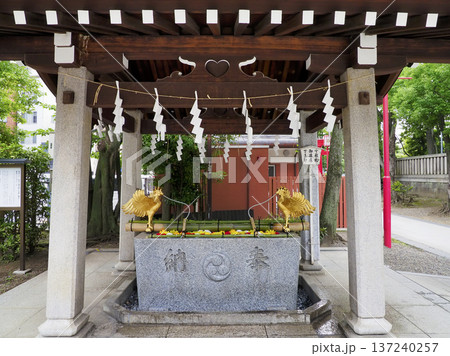 富岡八幡宮の花手水・江東区 137240257