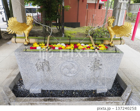 富岡八幡宮の花手水・江東区 富岡八幡宮の花手水・江東区 137240258