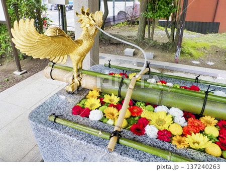 富岡八幡宮の花手水・江東区 137240263