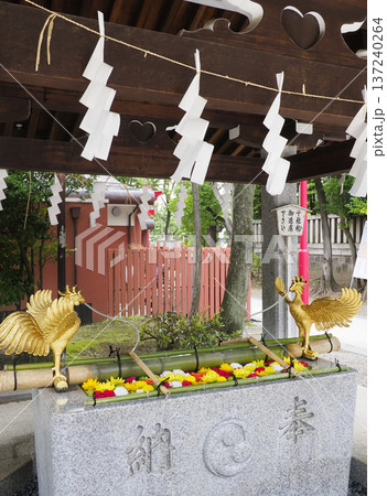 富岡八幡宮の花手水・江東区 137240264