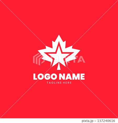 maple star logo design vector 137240616