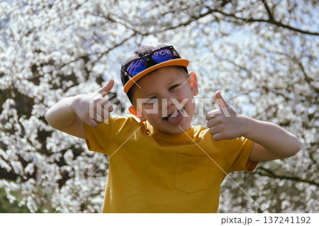 Stylish toddler boy smiling happy preschool age in yellow t-shirt and cap, cute boy enjoying white sakura bush in blooming garden. Stylish toddler boy smiling happy preschool age in yellow t-shirt and cap, cute boy enjoying white sakura bush in blooming garden. 137241192