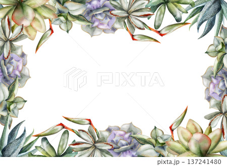 Echeveria, aloe vera, kalanchoe succulents, strelitzia flower spikes plant border. Isolated frame illustration hand drawn in watercolor. Sustainable lifestyle printables, florist marketing materials. 137241480