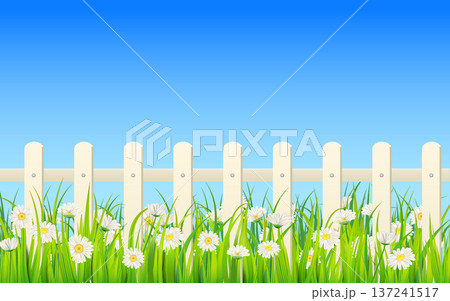 Spring Summer banner green grass, daisy flowers, white fence Spring Summer banner green grass, daisy flowers, white fence 137241517