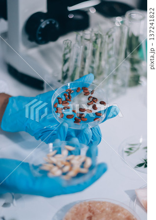 Chemical Laboratory of the Food supply . Food in laboratory, dna modify .GMO Genetically modified food in lab . 137241822