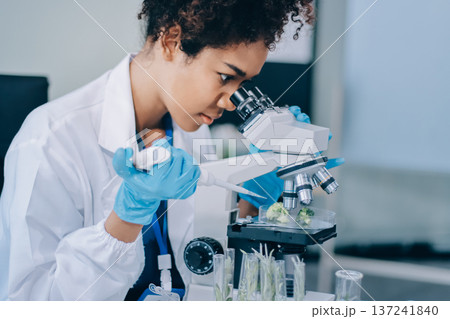 Chemical Laboratory of the Food supply . Food in laboratory, dna modify .GMO Genetically modified food in lab . Chemical Laboratory of the Food supply . Food in laboratory, dna modify .GMO Genetically modified food in lab . 137241840