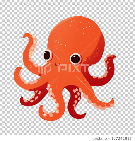 蛸　タコ 137241917