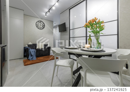 Modern Studio Apartment with Dining Area and Cozy Lounge 137241925