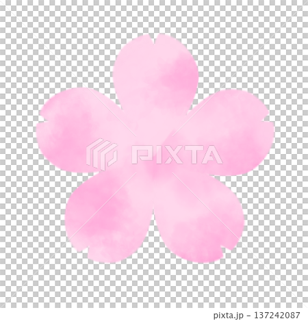 Soft watercolor cherry blossom illustration Soft watercolor cherry blossom illustration 137242087