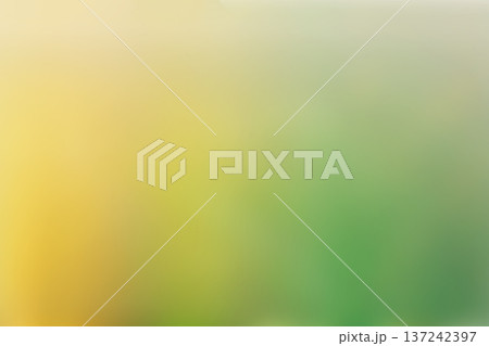 Yellow green gradient soft blurred background texture Yellow green gradient soft blurred background texture 137242397