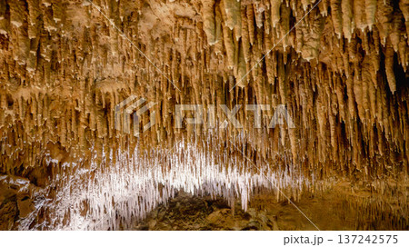 鍾乳石 石筍 洞窟 137242575