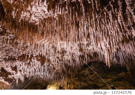 鍾乳石 石筍 洞窟 137242576