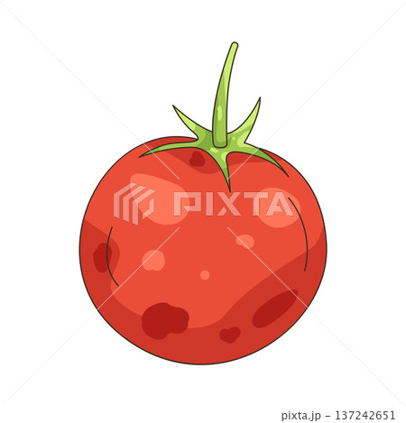 Illustration of tomato 137242651