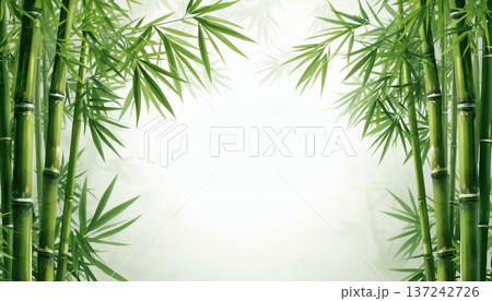 美しい竹のイラスト背景素材のイラスト素材 [137242726] - PIXTA