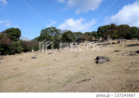 高知県 足摺牧場 高知県 足摺牧場 137243667