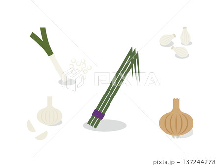 ニラとにんにくの香味野菜セット 影付きイラスト 137244278