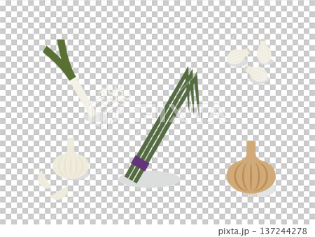韭菜和大蒜香料蔬菜套裝，陰影插圖 137244278